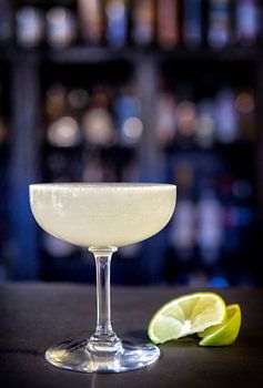 : portraits de cocktails