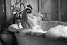 Rooster in the bathtub - A funny bathroom picture by Poster Art Shop