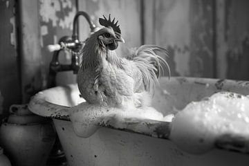 Hahn in der Badewanne - Ein lustiges Badezimmer Bild von Felix Brönnimann