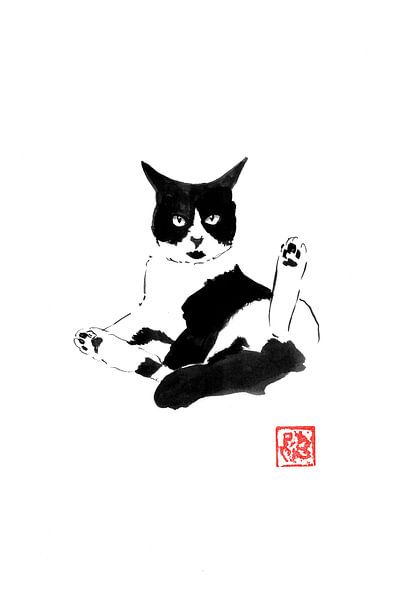 washing cat by Péchane Sumie