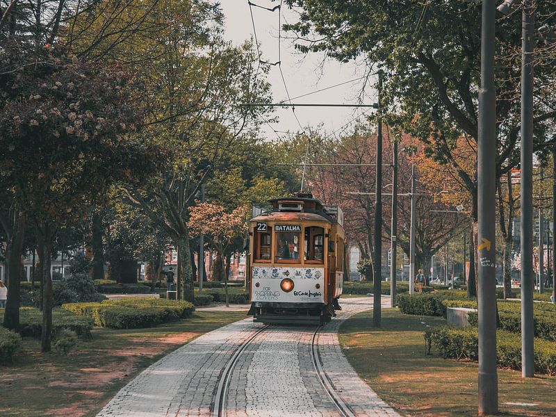 Porto by Hello Pompoyo
