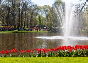 Keukenhof