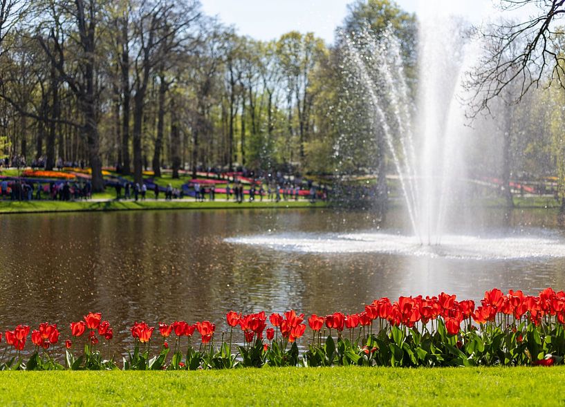 Keukenhof par Yanuschka | Fotografie Noordwijk