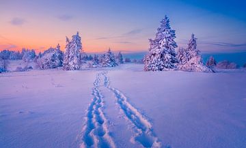 Winterwunderland von Xander Haenen