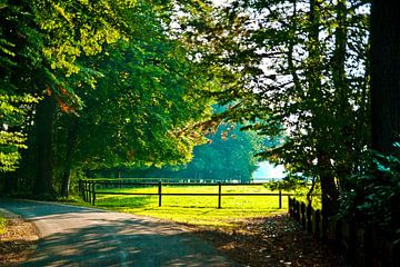 Paddock, weiland van Norbert Sülzner