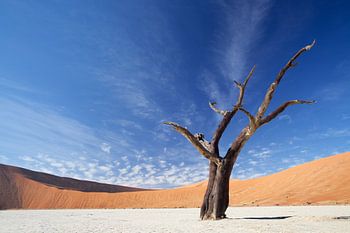 Deadvlei Namibie