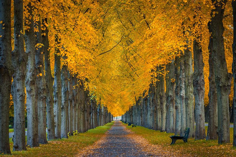 Herrenhausen Gardens in Hannover, Germany by Michael Abid