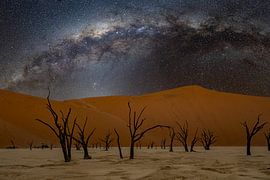 Deadvlei with Milky Way in the Namib Desert, Sossusvlei, Namibia by Patrick Groß