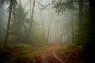 Mist en zandweg in het Speulderbos van Jenco van Zalk thumbnail