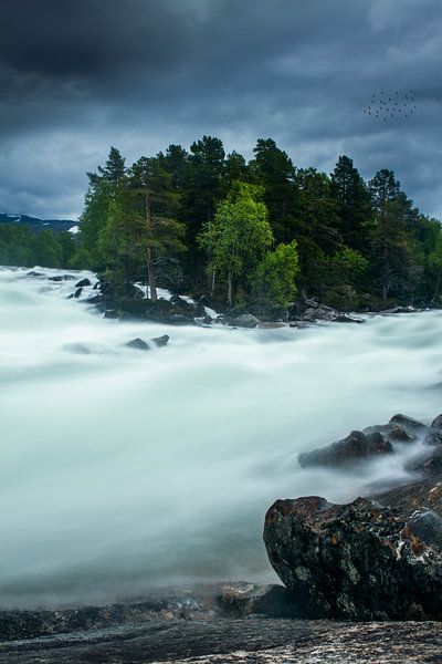 Wilder Fluss in Norwegen um den nördlichen Polarkreis von Hamperium Photography