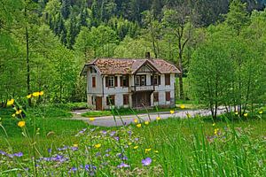 Altes Schwarzwald - Hotel