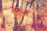 Une impression d'automne