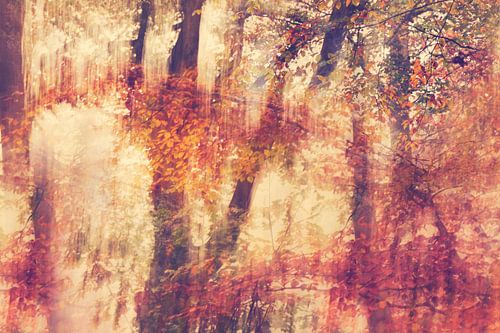 Ein herbstlicher Eindruck