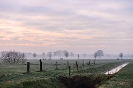 wintry countryside by Tania Perneel