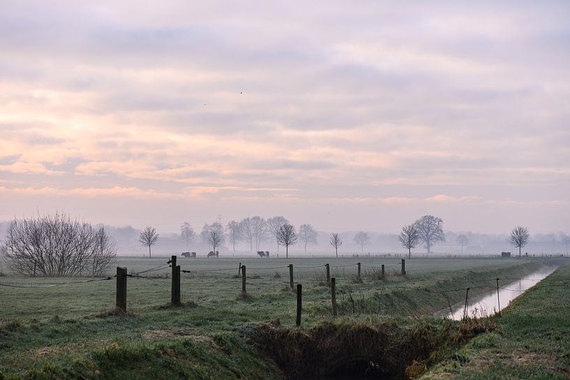 wintry countryside by Tania Perneel
