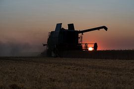 Harvest at sunset by AK - Night and Day Photography