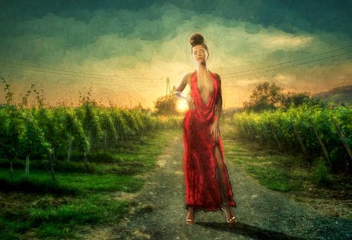 Wineyard Sunset