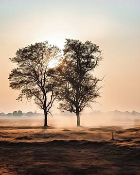 Bomenpaar in de zonsondergang van fernlichtsicht
