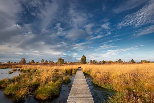 Die Uferpromenade des Hohen Venns an einem sonnigen Herbsttag.