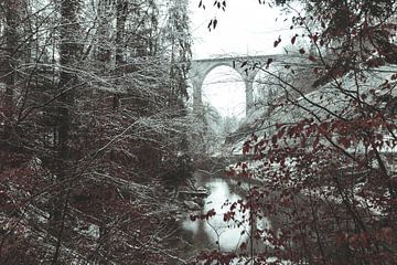 St. Galler Sitter Brücke  umgeben von Wald und Bäumen von Besa Art