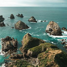 Prachtig uitzicht op Nugget Point, Nieuw-Zeeland van Rianne van Baarsen