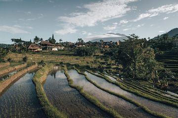 Authentiek tropisch uitzicht in Bali, Indonesië van Troy Wegman