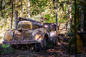 Verlassener Pick Up in den französischen Wäldern von Gentleman of Decay