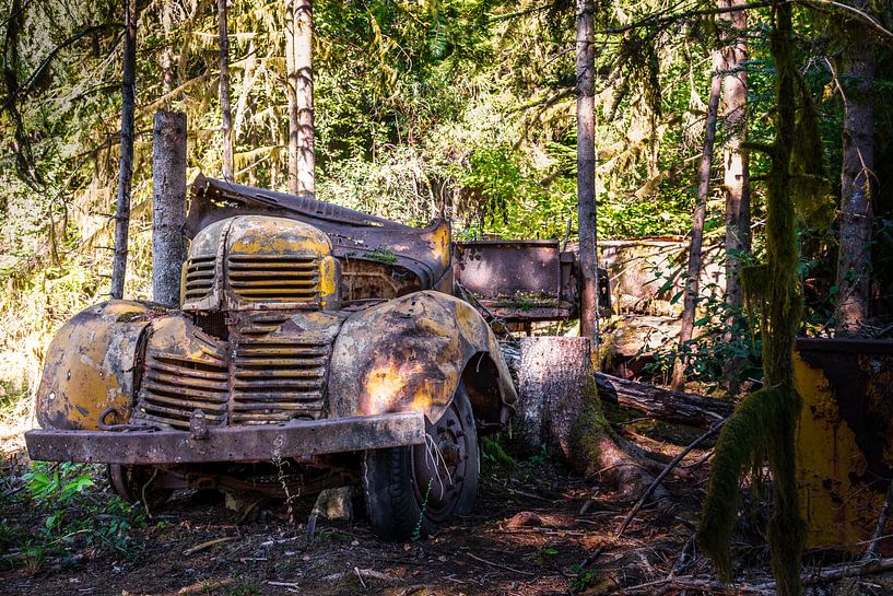 Verlaten pick-up in de Franse bossen van Gentleman of Decay