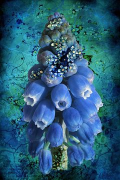 Muscaria with forget-me-nots. by Helga Blanke