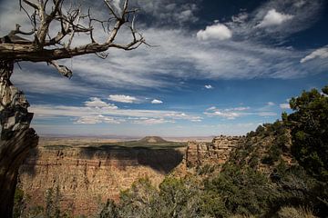 Grand Canyon overzicht van De wereld door de ogen van Hictures