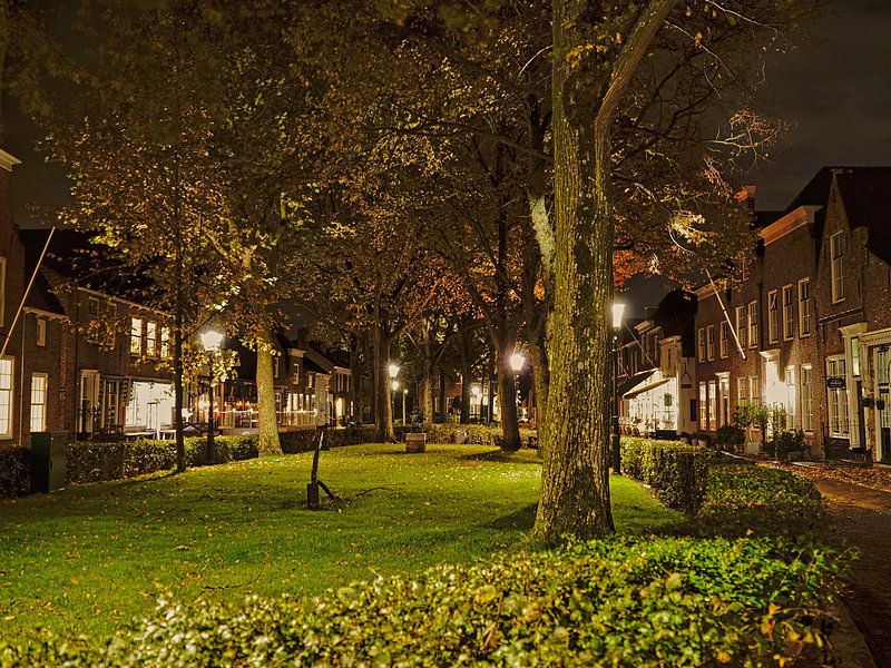 Un parc magnifiquement éclairé dans le quartier nocturne de Veere par Gert van Santen