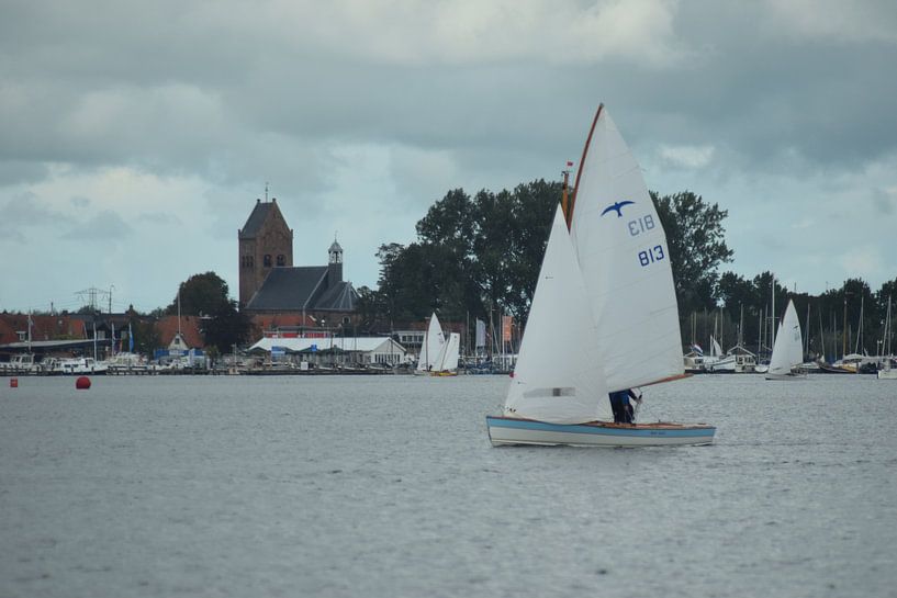 Zeilen op het Pikmeer van Richard Brinkman