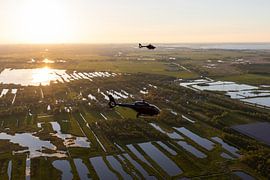 EC.120 und EC.135 in einer typischen niederländischen Landschaft bei Sonnenuntergang von Jimmy van Drunen