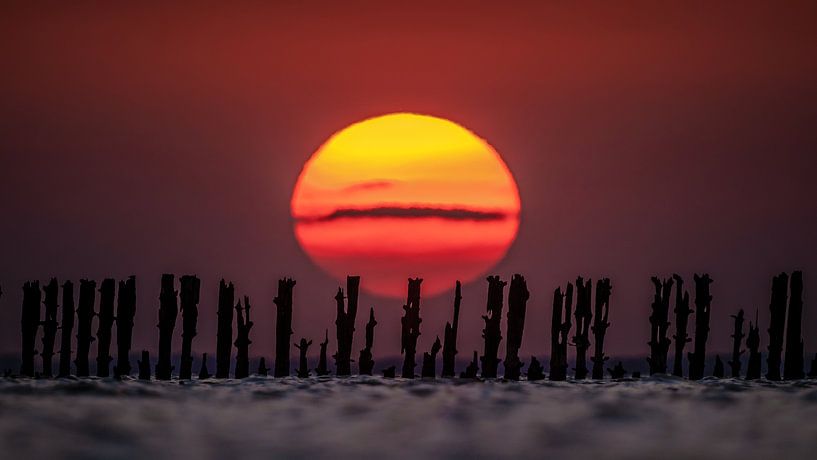 Sonnenuntergang Wattenmeer von Martijn van Dellen