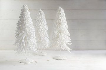 drei weiße Drahtweihnachtsbäume vor einem rustikalen weißen Holzhintergrund mit Kopierraum, ausge von Maren Winter