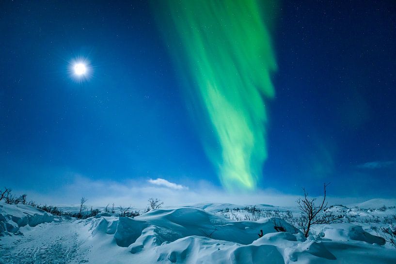 Noorderlicht - Aurora Borealis van Gerald Lechner