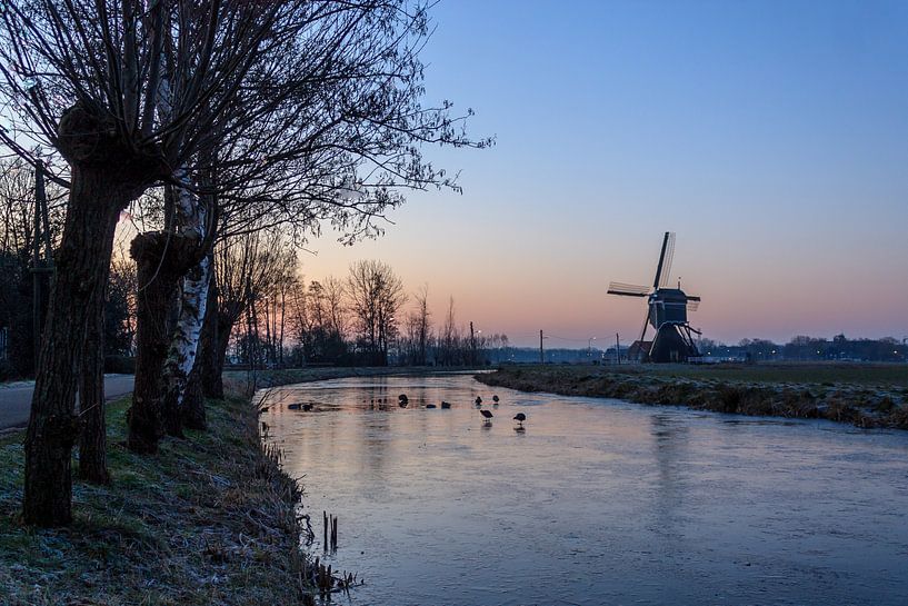 Zonsopkomst in de polder van Stephan Neven