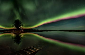 Ein Regenbogen aus Nordlichtern von Leon Brouwer