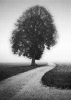 Dichter
