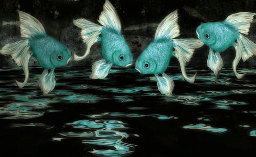 Feng Shui - blauw turquoise