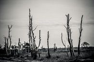 Bos dood hout van Fotografie Jeronimo thumbnail