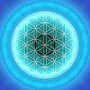 Throat Chakra with Flower of Life by Christine Bässler thumbnail