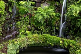 Ausflug ins Grüne von Thomas Herzog