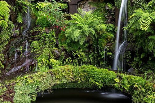 Excursie naar het platteland