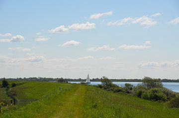 Zeilen op het Grevelingen Meer  van Marcel van Duinen