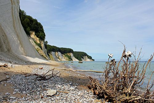 On the chalk coast of Rügen
