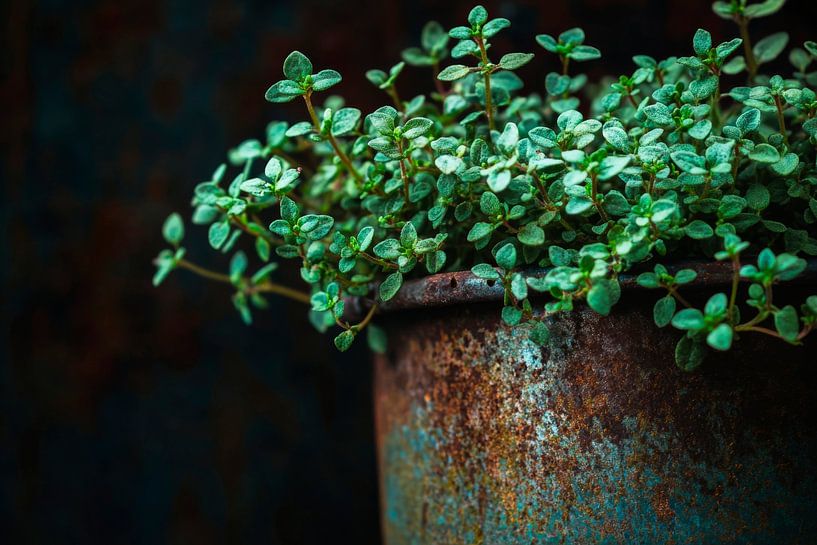 Wooden herb pot by Poster Art Shop