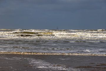from Texel by Tom Loman