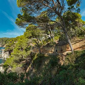 Camì de Ronda, kustpad, Calella de Palafrugell, Catalonia, Catalan, Catalunya, Spanje van Rene van der Meer