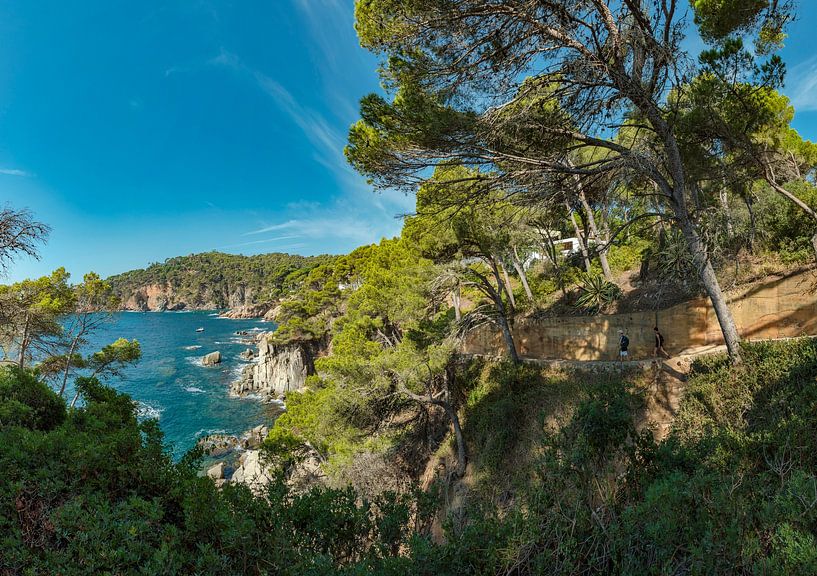 Camì de Ronda, kustpad, Calella de Palafrugell, Catalonia, Catalan, Catalunya, Spanje van Rene van der Meer